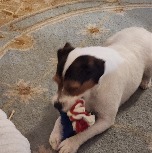 @bethybd LIVE "LIKE" for Notices Of My Shows - Picture 8 of 16